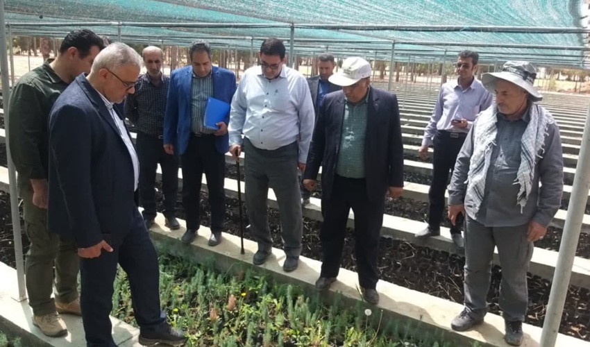 مجری طرح مردمی کاشت یک میلیارد درخت: روند تولید نهال در  منابع طبیعی استان‌ها مطلوب است