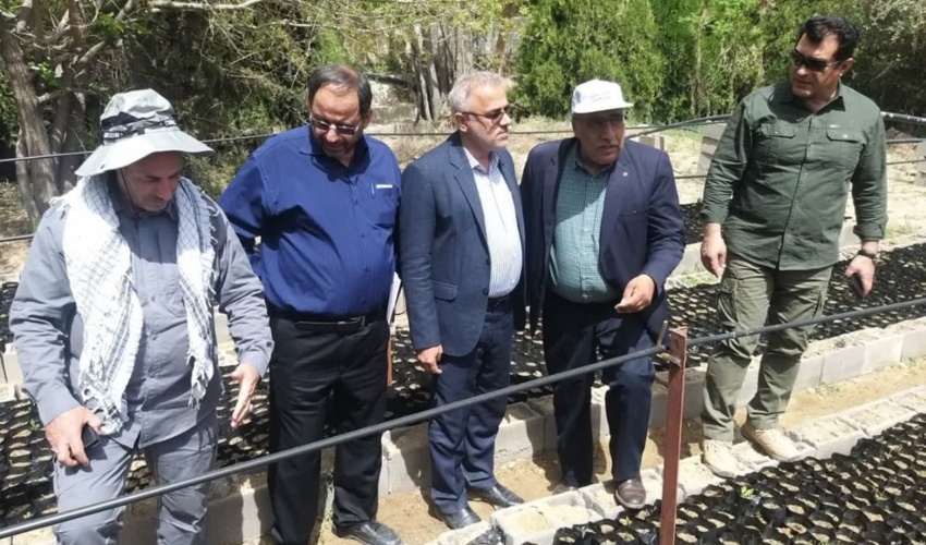 با وجود ۱۴.۳ میلیون هکتار جنگل در کشور؛ چاره‌ای جز کاشت درخت نداریم