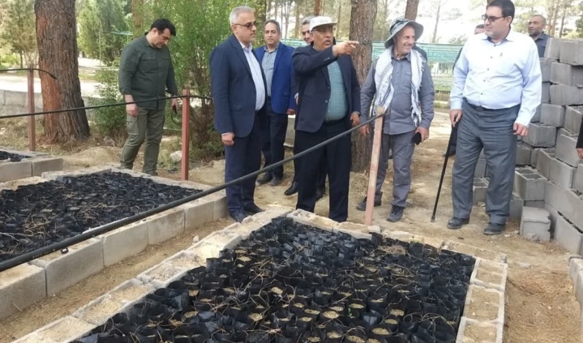 رئیس سازمان منابع طبیعی: زیرساخت کاشت یک میلیارد درخت در کشور مهیا شده است
