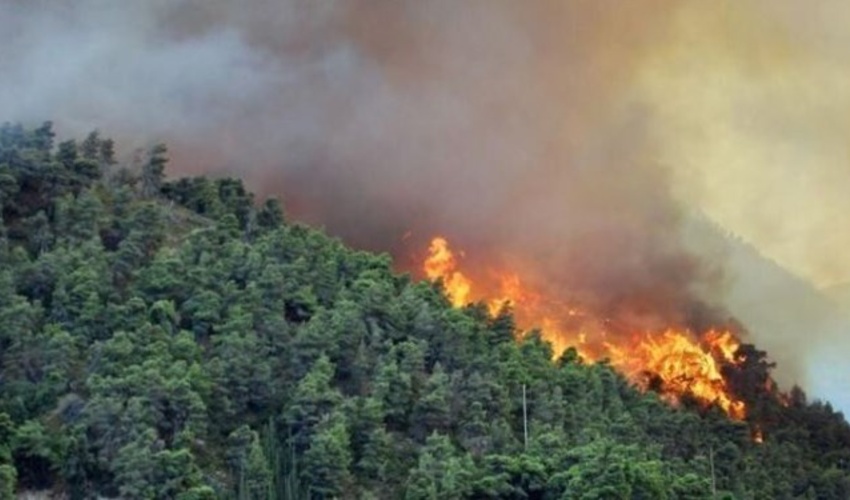 وقوع ۲۹ فقره آتش‌سوزی جنگلی در سال جاری/ ایجاد ۱۸ پایگاه اطفای حریق در کشور
