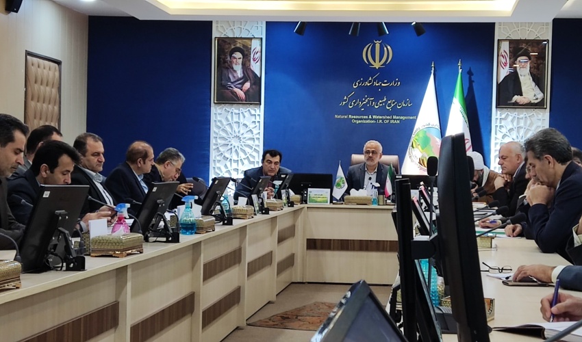 تاکید رییس سازمان منابع طبیعی نسبت به پیشگیری حریق در عرصه های جنگلی 