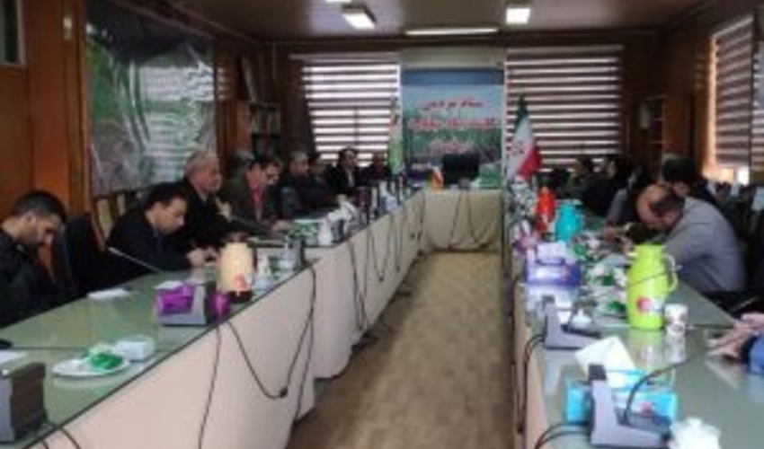 ساری/تولید 3 میلیون اصله نهال از ابتدای سال تا کنون در نهالستانهای اداره کل