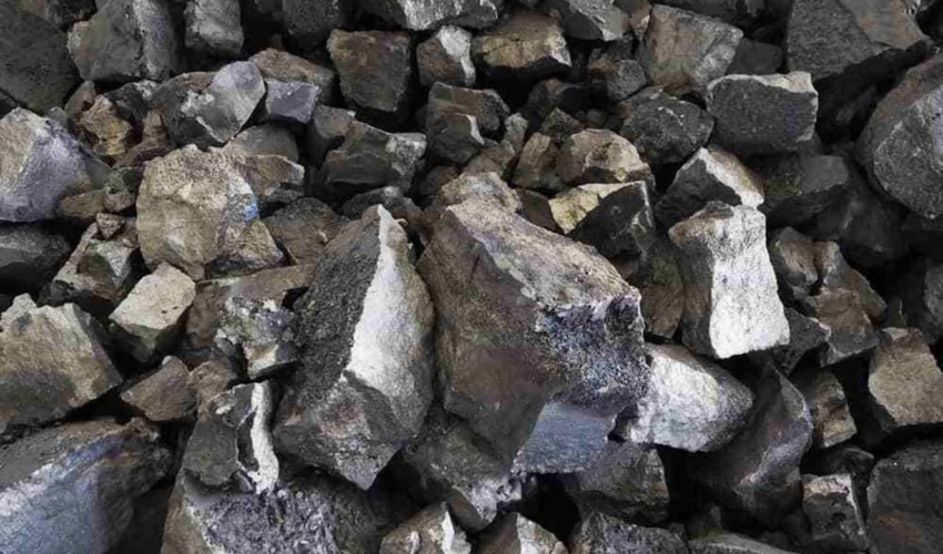 ۶۶ نهالستان جنگلی تجهیز و وارد چرخه تولید شدند/ پیش‌بینی جهش تولید نهال در سال جاری