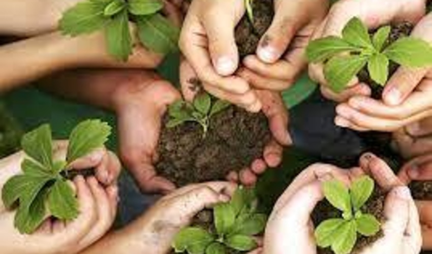 ایلام/ مشارکت هفت هزار همیار طبیعت در نگهداری از رویشگاه‌ها و ذخیره‌‍‌گاهای ژنتیکی