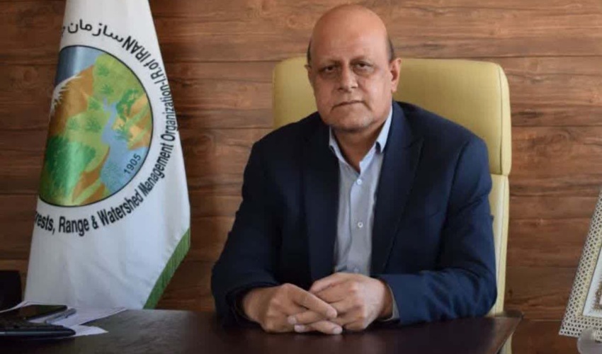 کرمانشاه/ مراتع استان در سال گذشته کمترین میزان حریق را تجربه کرد / ٢۵۵ دیده بان مانع پیشروی آتش سوزی در جنگل ها