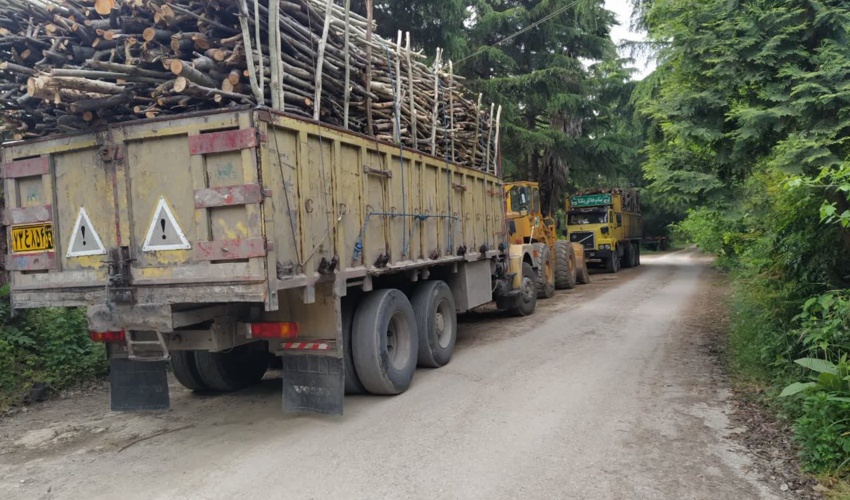نوشهر/کامیون‌های حامل چوب فاقد مجوز توقیف می‌شوند