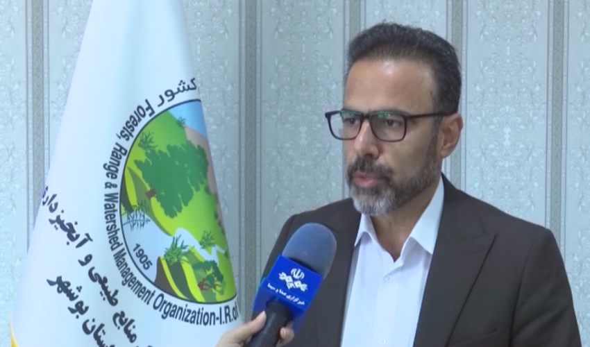 ۱۳۵ میلیون مترمکعب آب از سد‌های آبخیزداری بوشهر استحصال می‌شود