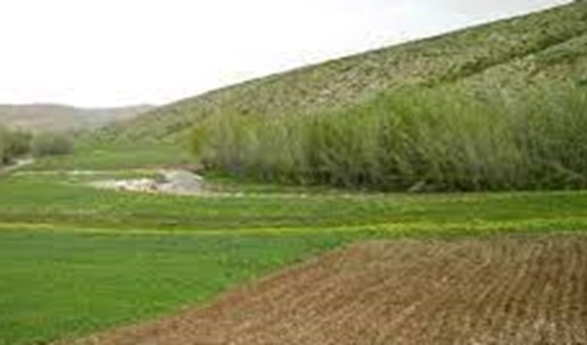 خلع ید 44 هکتار از اراضی ملی در زنجان