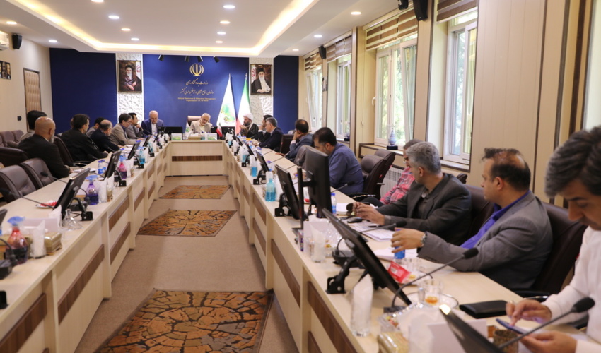 حفاظت از جنگل ها؛ مهمترین اولویت سازمان منابع طبیعی