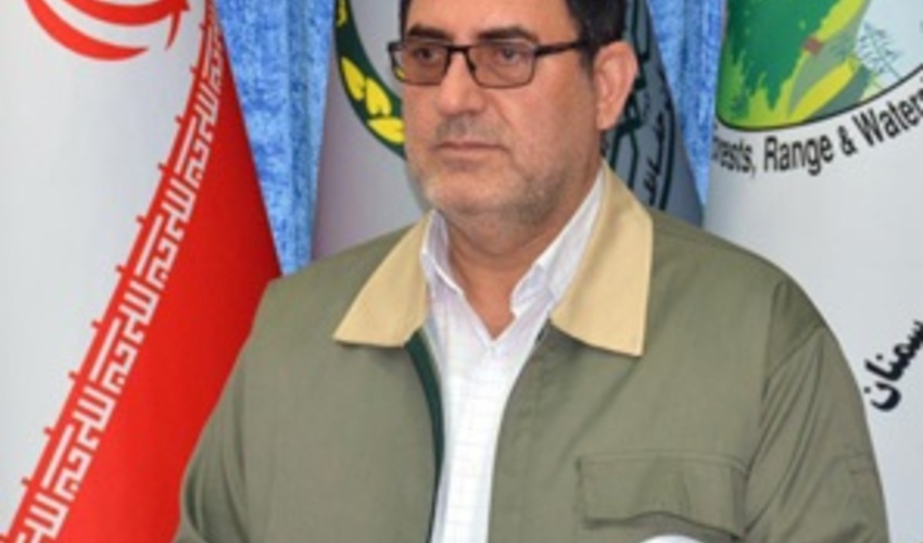 سمنان/ ظرفیت صنایع استان سمنان برای کاشت نهال به کار گرفته شود