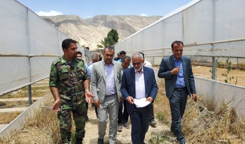  رییس سازمان منابع طبیعی کشور از طرح  های منابع طبیعی فارس بازدید کرد