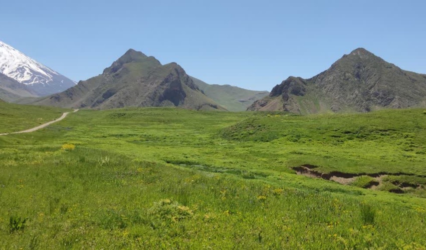 آغاز مدیریت چرا در 400 هزار هکتار از مراتع استان تهران