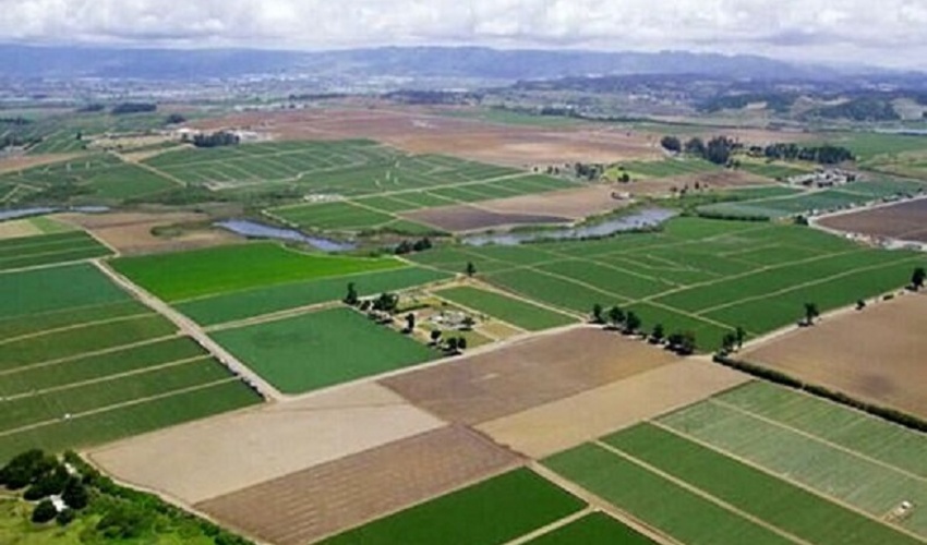 کرمانشاه/ راه اندازی سامانه پنجره مدیریت زمین برای مقابله با زمین خواری