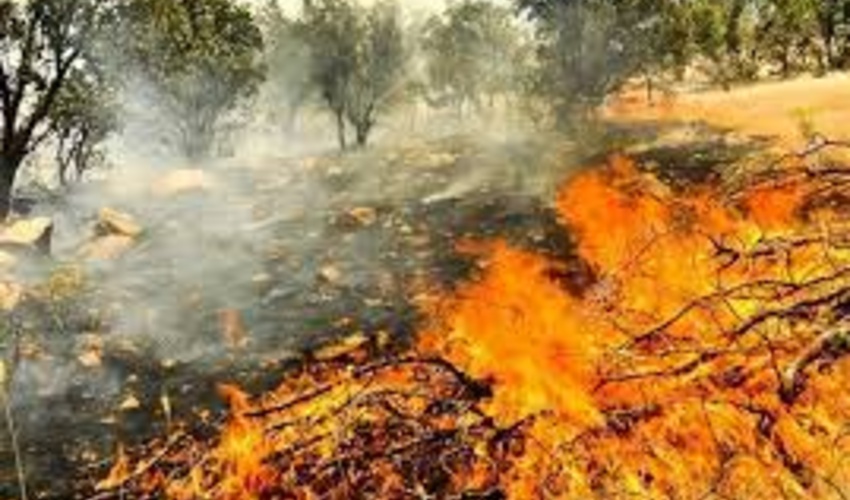 اقدامات پیشگیرانه برای جلوگیری از حریق در عرصه های منابع‌طبیعی ‏ایلام