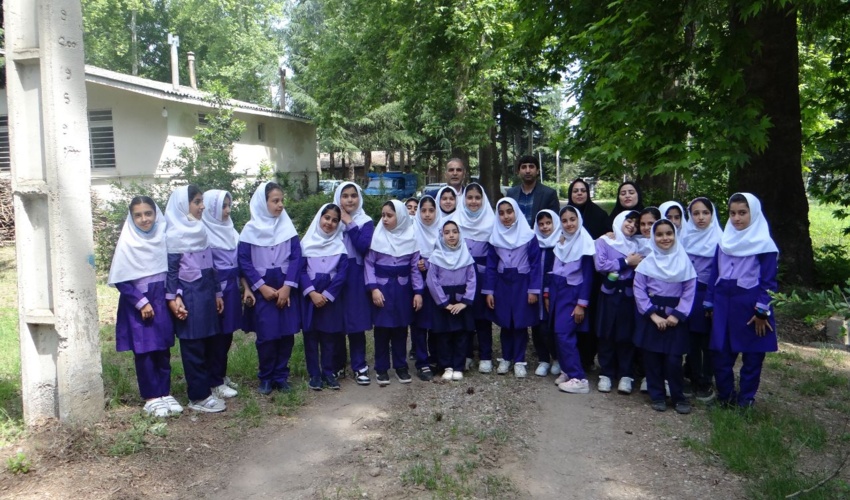 نوشهر/ بازدید دانش آموزان مقطع ابتدایی از نهالستان کلاردشت 