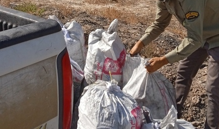 هرمزگان / 200کیلوگرم ذغال قاچاق در چاه مسلم کشف شد