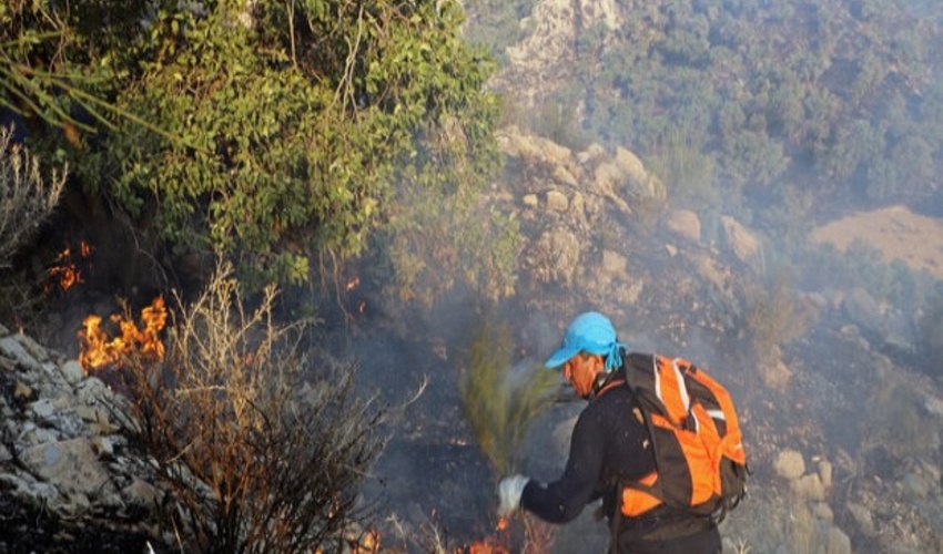 نوشهر/ پایگاه اطفای حریق جنگل در غرب مازندران راه اندازی شد