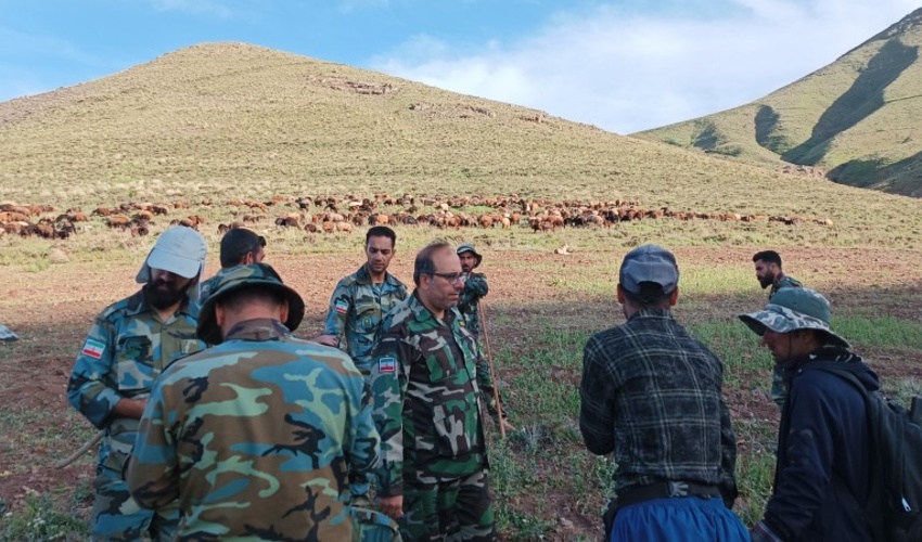 قزوین/ اخراج بیش از ۱۰۰۰۰ رأس دام غیر مجاز از مراتع شهرستان قزوین