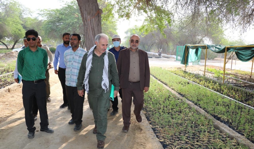 بازدید مجری طرح کاشت یک میلیارد درخت از نهالستان باغو بندرعباس