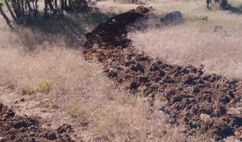 زنان زاگرس‌نشین خانه‌ها را به نهالستان‌های جنگلی تبدیل می‌کنند