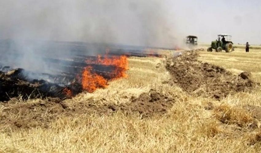مدیرکل منابع طبیعی استان ایلام؛آتش زدن پس مانده محصولات کشاورزی آفتی برای طبیعت است