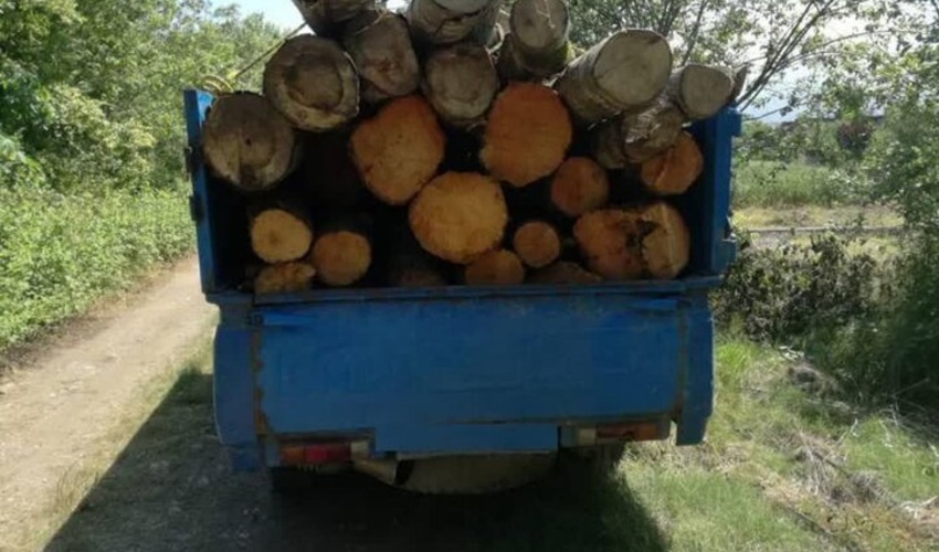 کشف بیش از یک تن چوب آلات جنگلی قاچاق در اردبیل