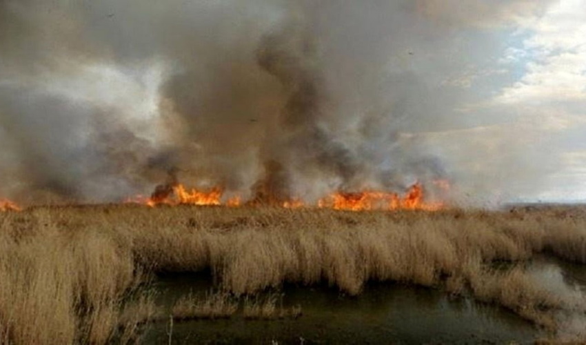 منابع طبیعی استان مرکزی نسبت به وقوع آتش سوزی در مراتع هشدار داد