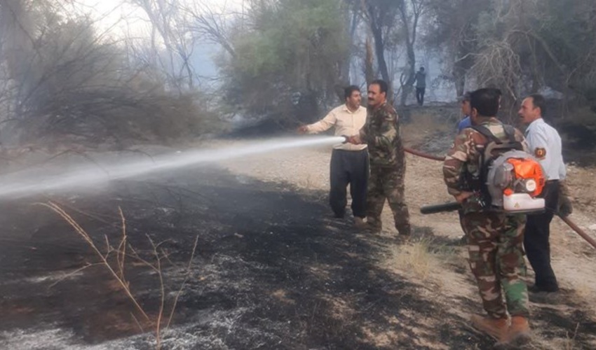 عامل آتش‌سوزی جنگل‌ها و مراتع منطقه پریکدان بویراحمد دستگیر شد