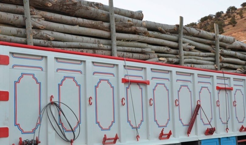 آذربایجان غربی/محموله ۲۶ تُنی چوب قاچاق در مهاباد کشف شد