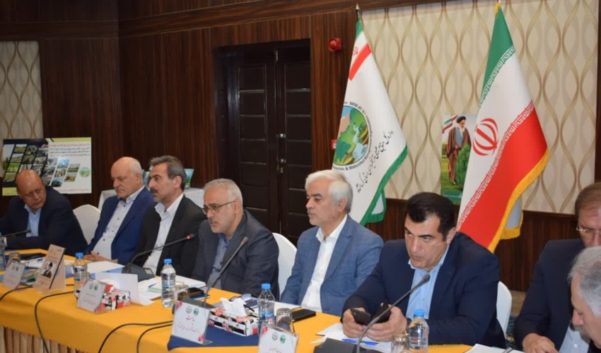 سرانه جنگل ایران حدود 0.17 هکتار است/ تولید یک میلیون‌ و ۷۰۰ هزار نهال در کرمانشاه طی سه ماهه اول سال‌جاری