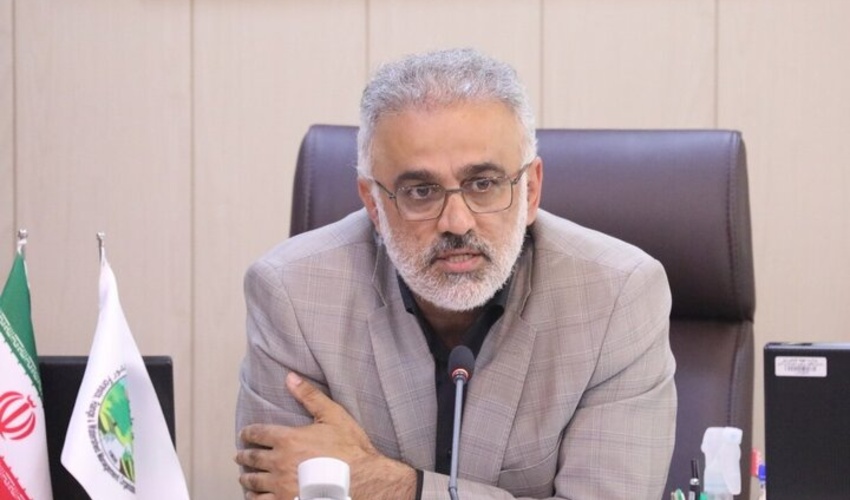 درختی از جنگل قطع شود، دیگر جایگزین ندارد!