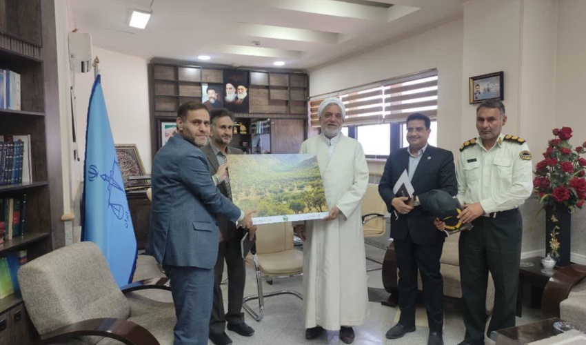 پیشرفت 99درصدی کاداستر اراضی ملی در شمال استان کرمان