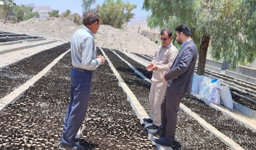 گام بزرگ شهرستان های کهگیلویه، لنده، چرام در طرح مردمی کاشت یک میلیارد درخت