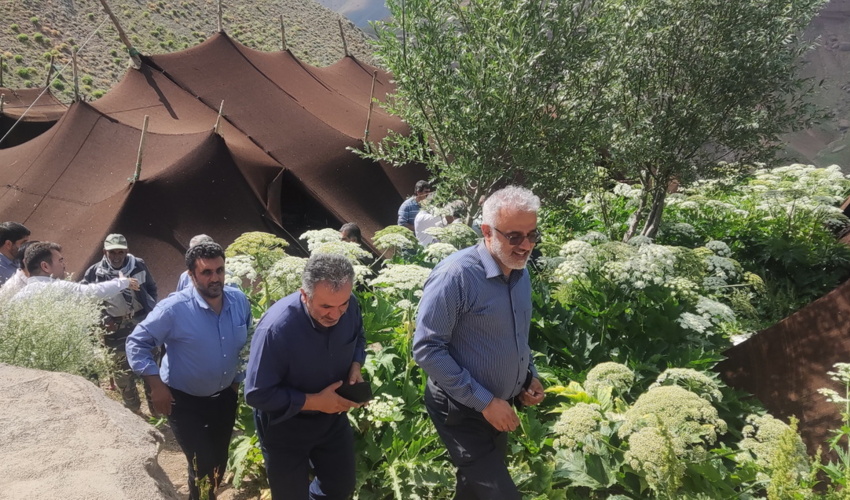 بازديد معاون وزير و رييس سازمان منابع طبيعي و آبخيزداري و هيئت همراه از مراتع استان البرز