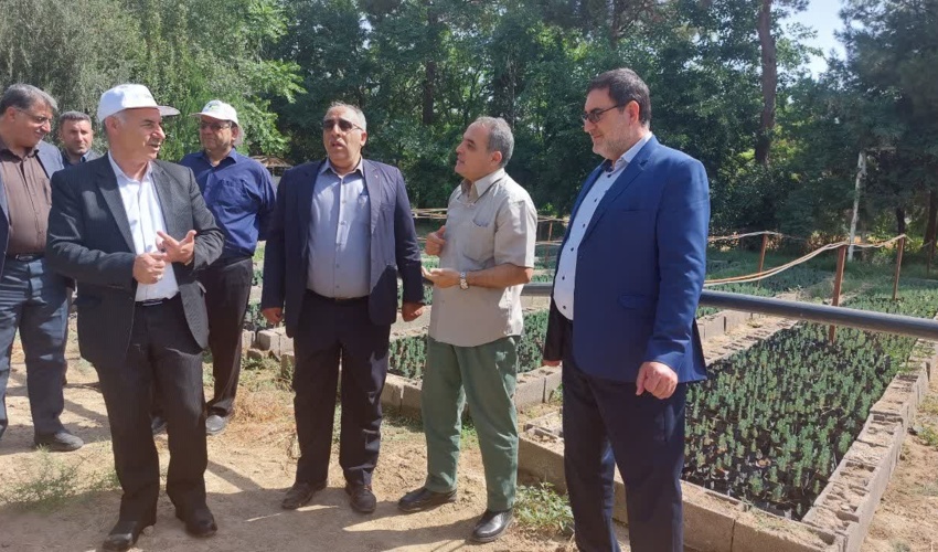 تولید بیش از ۲۴۸ میلیون اصله نهال/ ضرورت توجه دولت و مجلس به طرح کاشت یک میلیارد درخت در برنامه هفتم توسعه