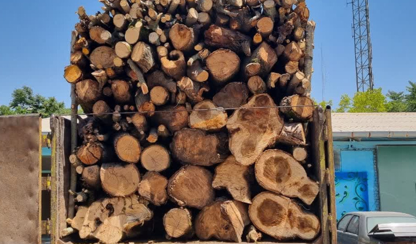 توقیف کامیون حامل ۱۵ تن چوب آلات قاچاق جنگلی در استان اردبیل