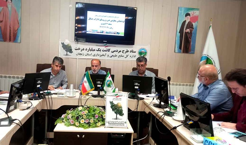 زنجان/ طرح مردمی کاشت یک میلیارد درخت، جهادی پیش می‌رود