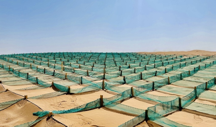 تثبیت ماسه های روان با استفاده از ۱۱ روش خارجی و بومی