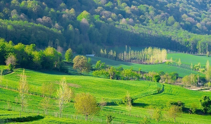 نقش غیرقابل انکار "چمنزارها" در مهار فرونشست/ تهدید چمنزارها به واسطه کشاورزی ناپایدار