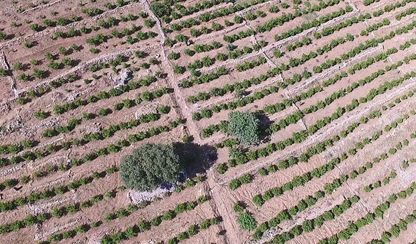 1360 پلاک از اراضی کردستان رفع تداخل شده است