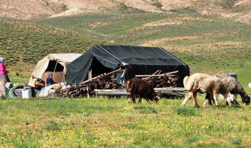 نام گذاری سال ۲۰۲۶ به عنوان سال بین المللی مرتع و عشایر از سوی مجمع عمومی ملل متحد