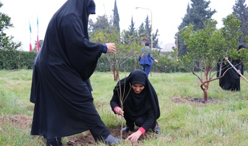 ترمیم طبیعت با کاشت یک میلیارد درخت