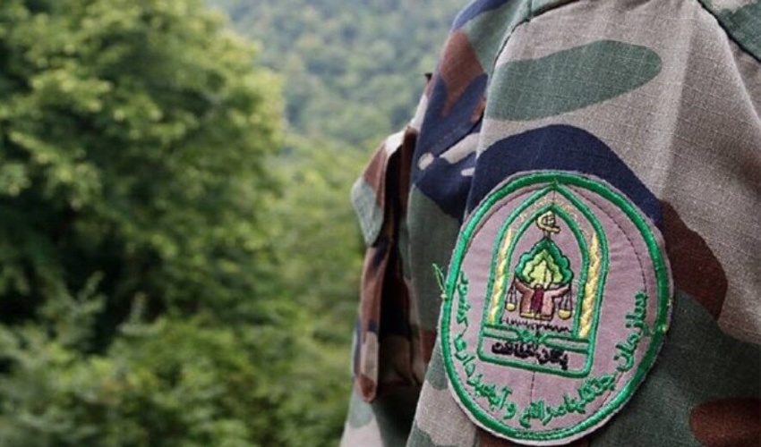 ۷۹ متخلف عرصه‌های منابع طبیعی استان سمنان دستگیر شدند