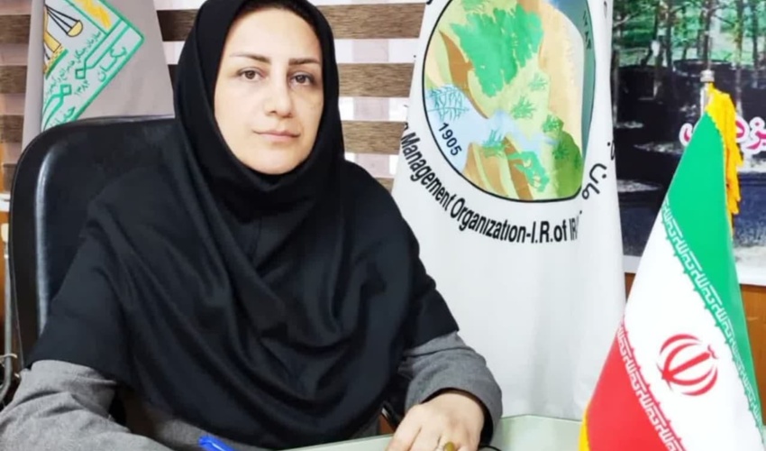 ساری/ فراخوان دومین جشنواره « منابع طبیعی و رسانه » مازندران در روز جنگلبان