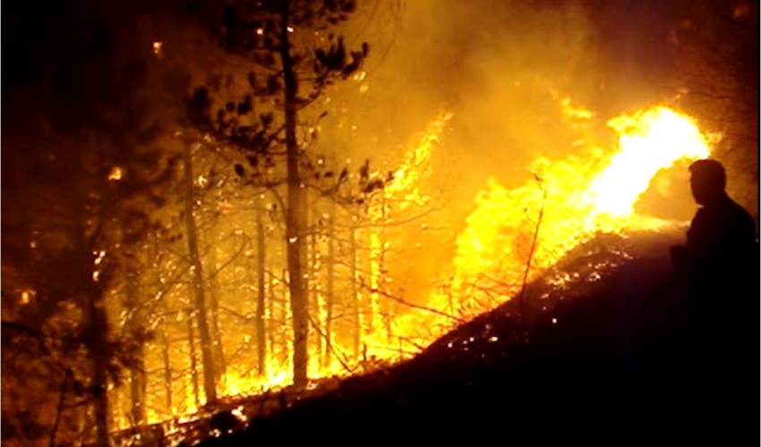 هشدار آتش سوزی در جنگل‌ها و مراتع استان گیلان