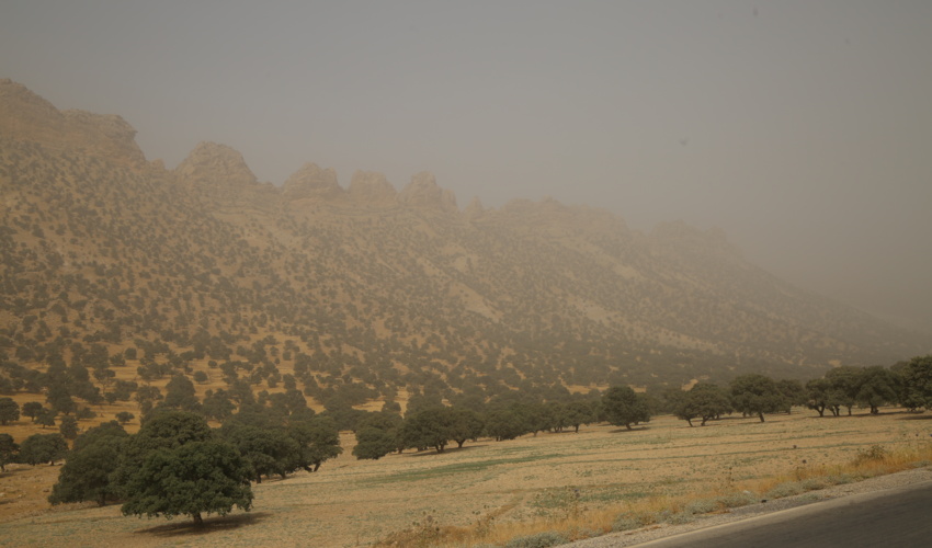 استان ایلام بیشترین تأثیر پذیری از ورود ریزگردها را دارد