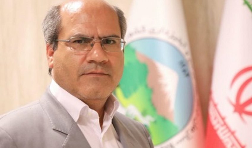 خسارت به ۲۳۰ پایه درخت در پروژه گازی در منطقه جنگلی بانکول ایلام