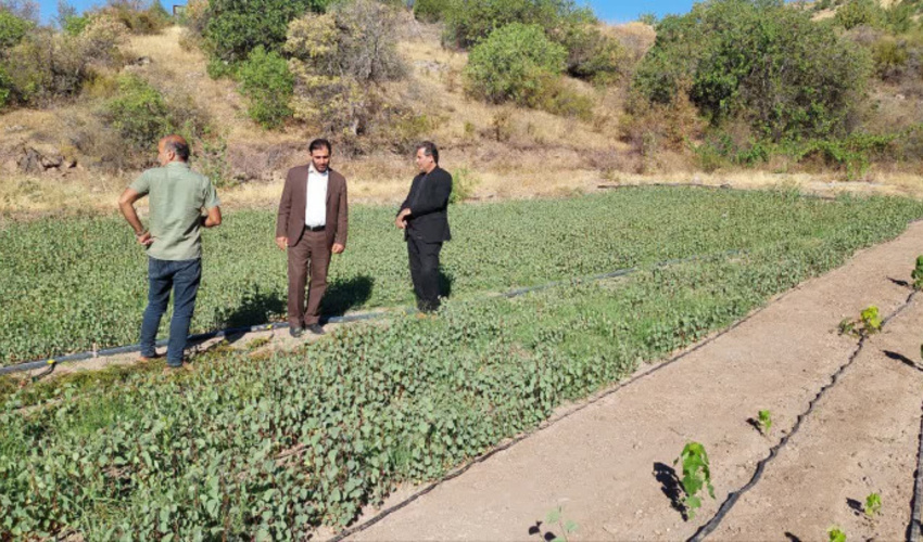 ظرفیتهای شهرستان خلخال برای توسعه جنگلهای هیرکانی کم نظیر است