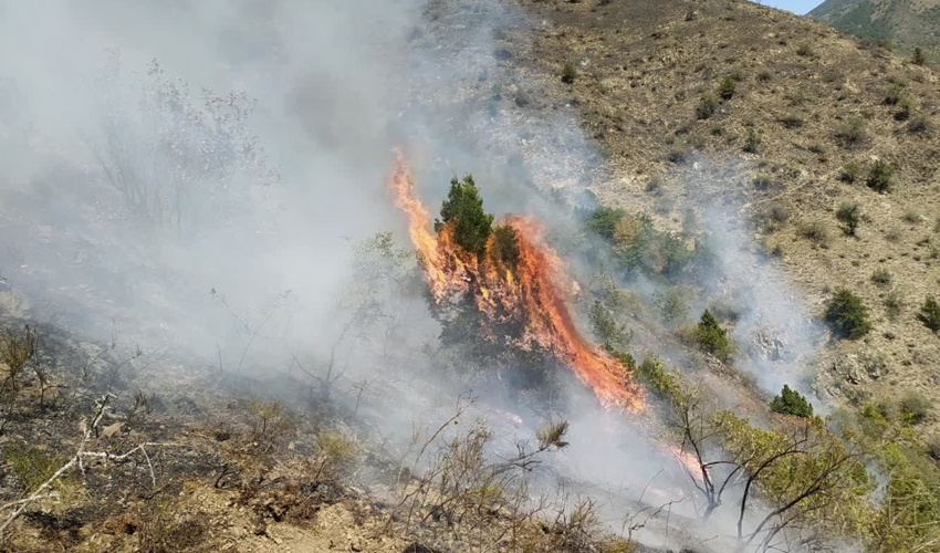 آذربایجان شرقی/جزییات آتش‌سوزی در جنگل‌های ارسباران