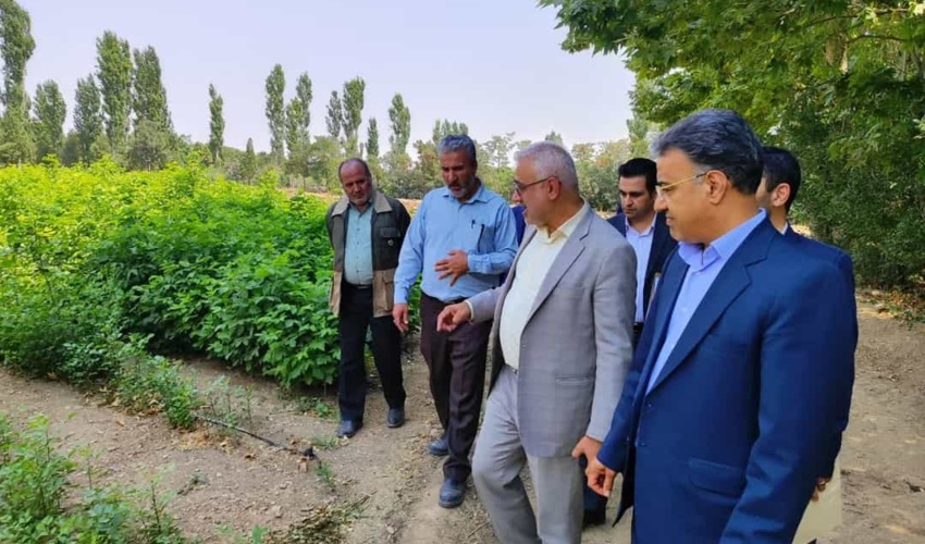 رئیس سازمان منابع طبیعی کشور: ۲۴۸ میلیون و ۶۰۰ هزار نهال در کشور تولید شد